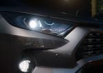 Toyota RAV4 Limited 2018 года (NA)